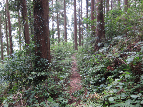 20191017hike (83)